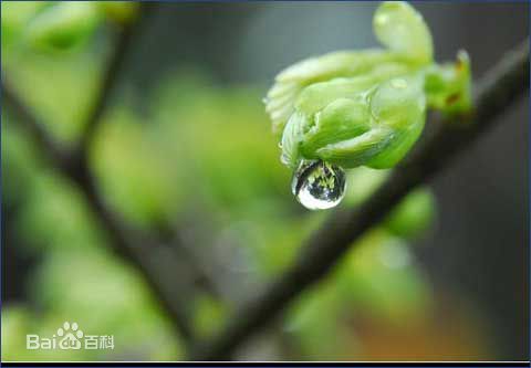 喜訊！2017新年開(kāi)工第一份中標(biāo)通知書(shū)